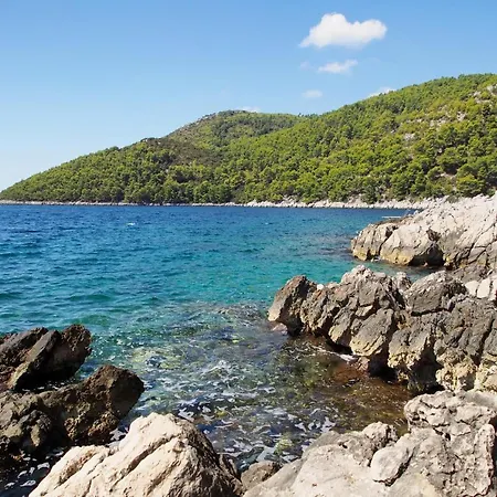 דירה 4468a ברנה